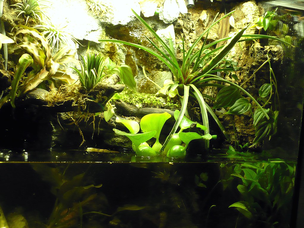 Another Vivarium 