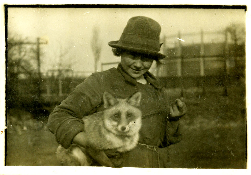 The Historical Context of Wild Animal Ownership
