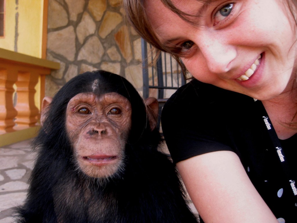 The Psychology Behind Exotic Pet Ownership