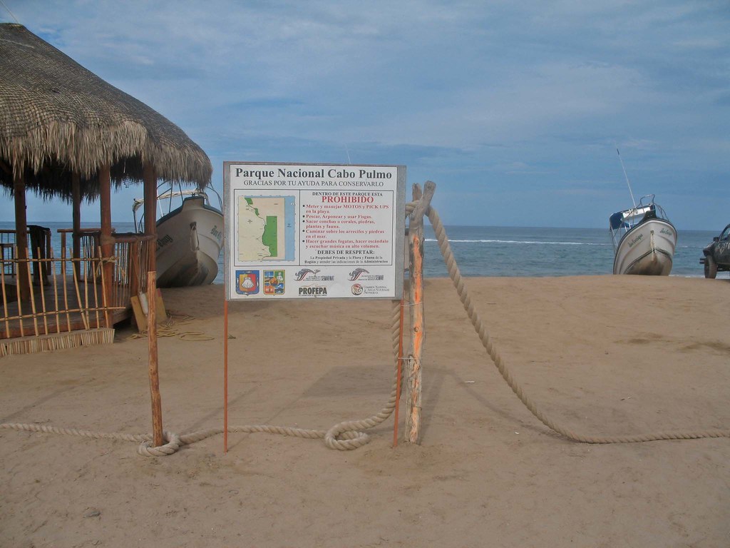 Marine Protected Areas: The Success of Cabo Pulmo
