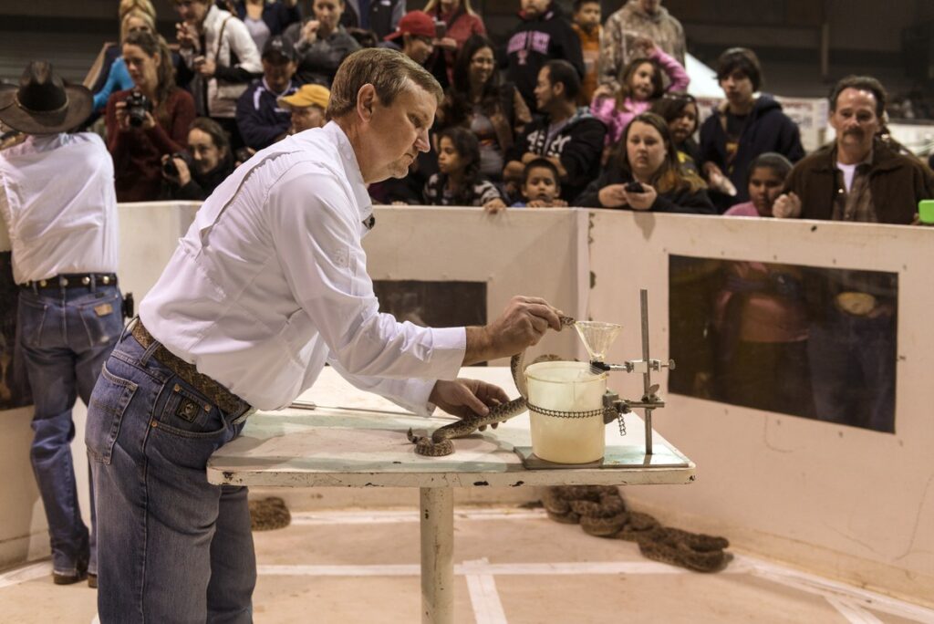 Reptile Discovery Center - Deland, Florida
