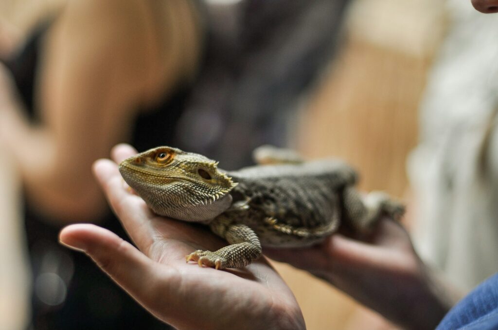 Handling Techniques That Foster Trust