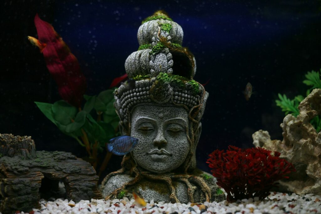 blue pet fish in front of Hindu deity bust
