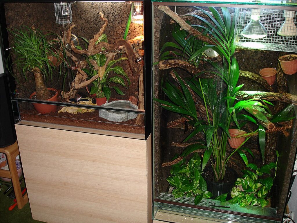 Choosing Safe Decorative Elements