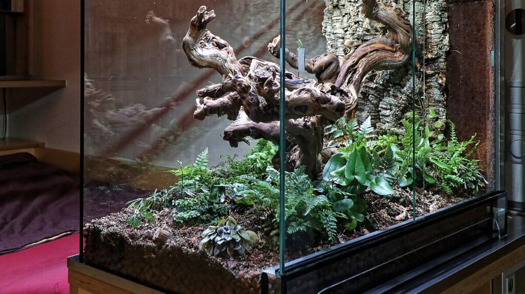 Choosing Appropriate Plants